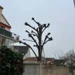 Après